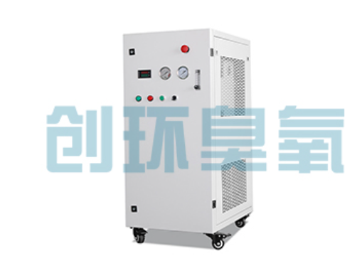 河西石斑鱼养殖水质调控完整指南：臭氧发生器配置与操作步骤