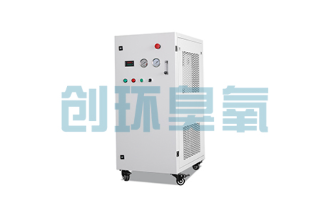 河西比传统换水更高效？臭氧发生器在石斑鱼养殖中的水质净化原理解析